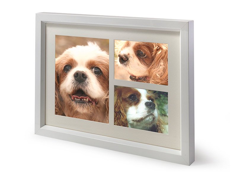 Meadow View Pet Crematorium Photo Frame Urn